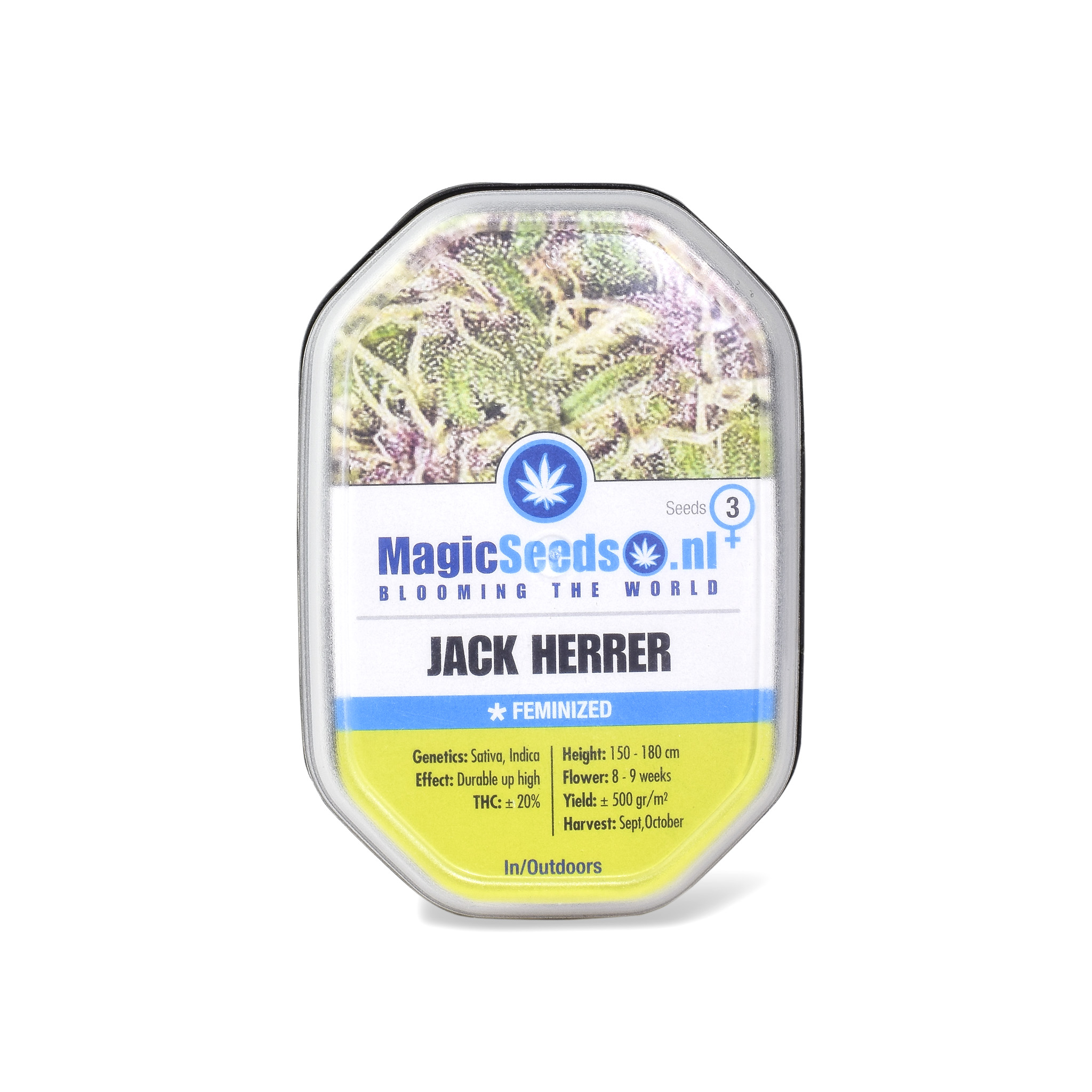 Jack Herrer3