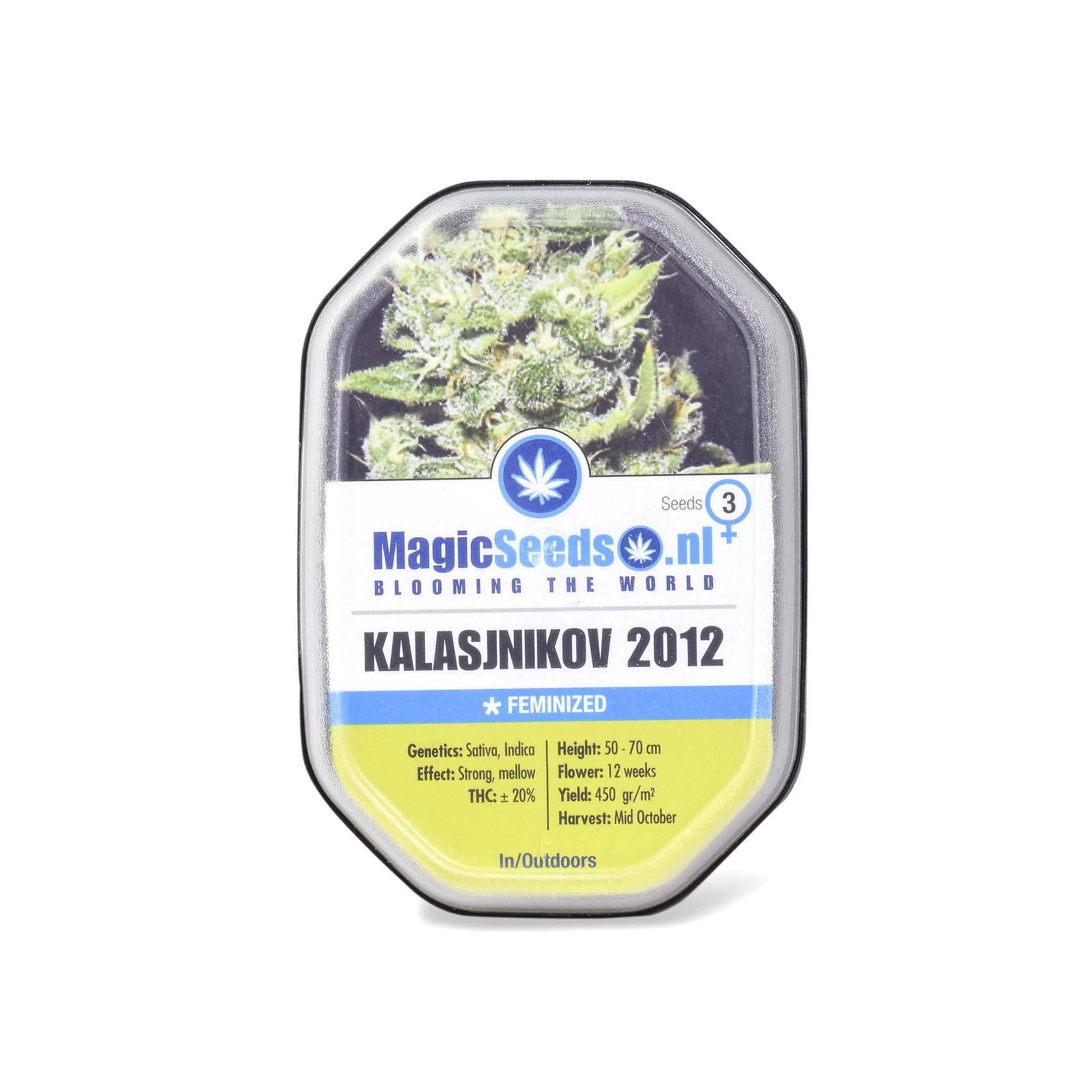 Kalasjnikow 20123