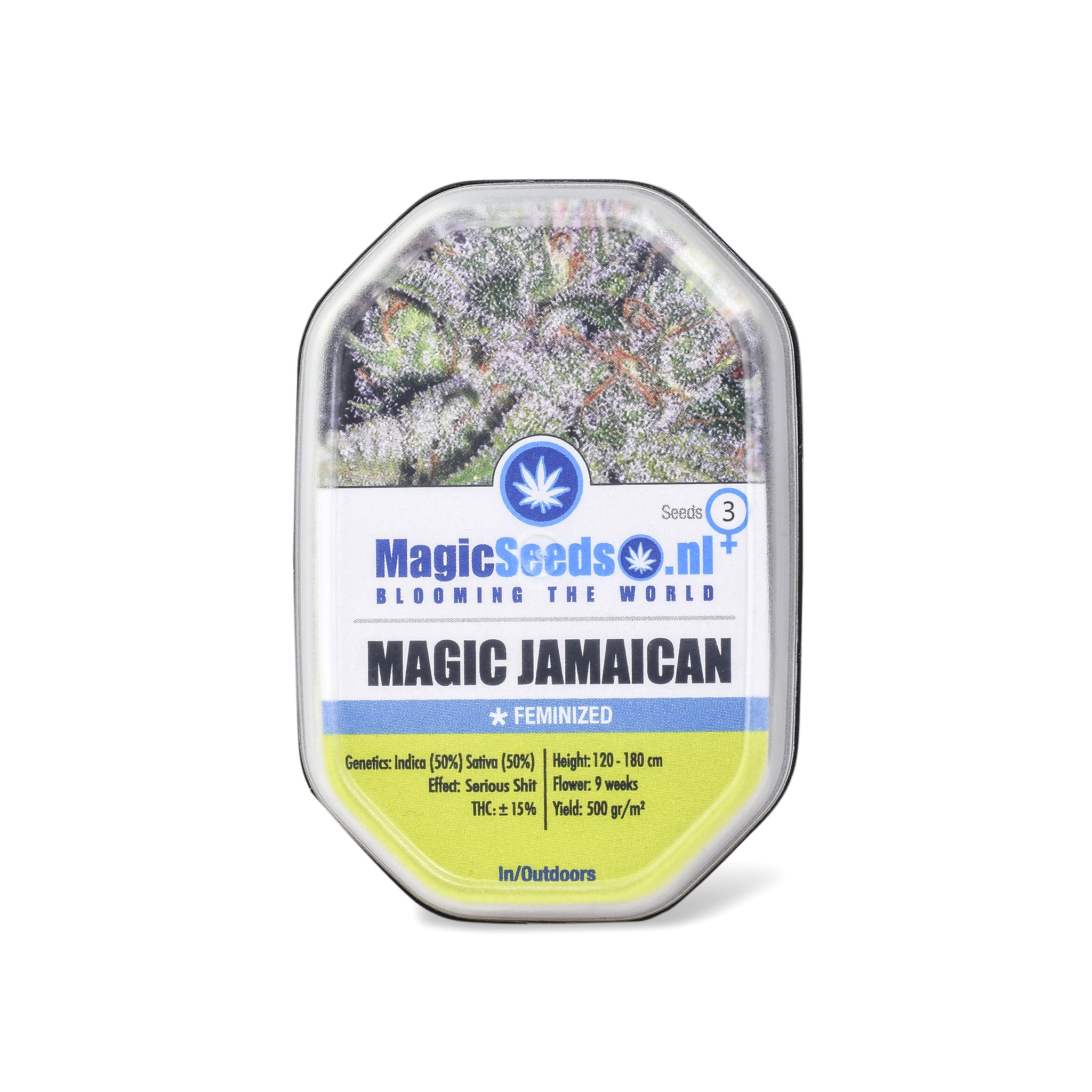 Magic Jamaican3