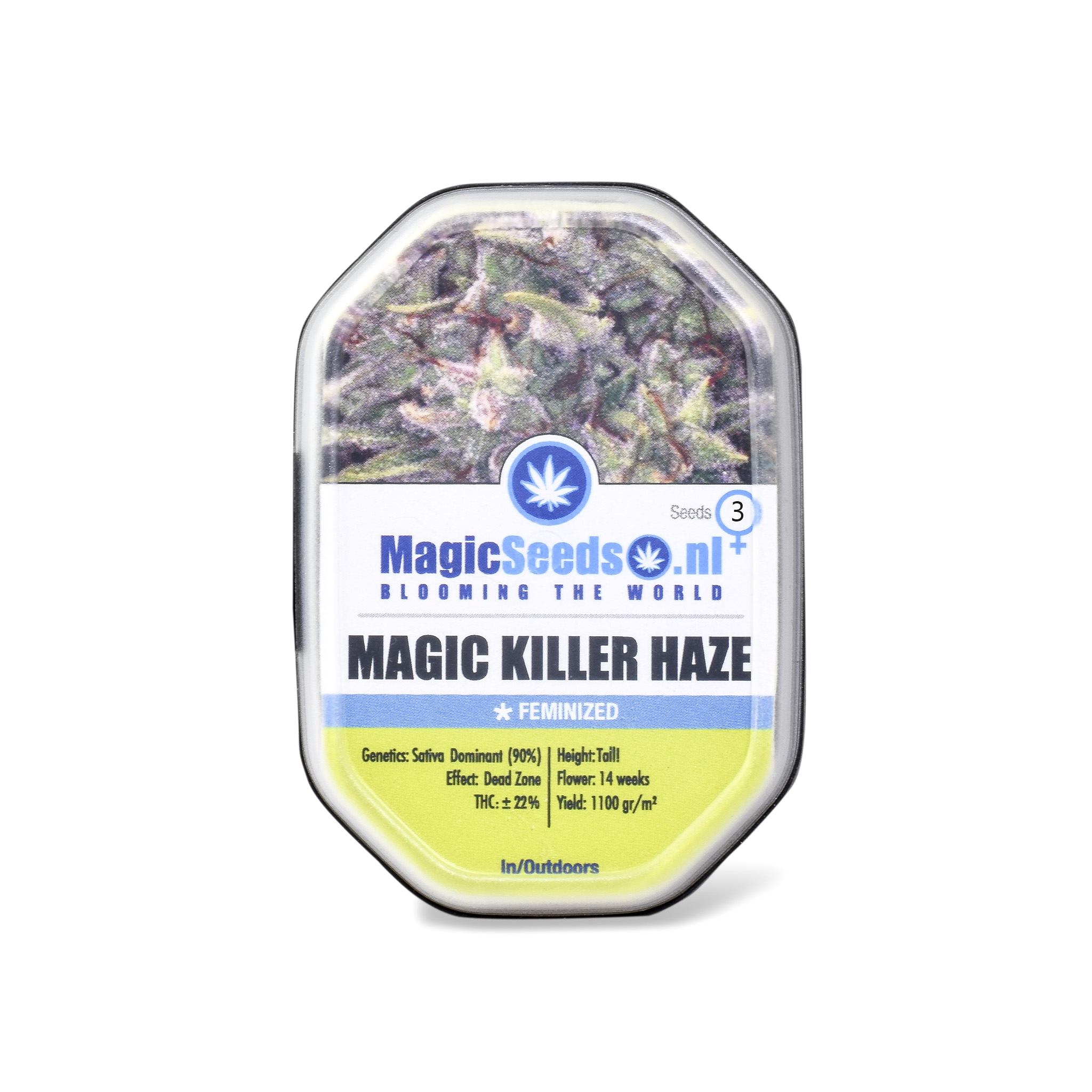 Magic Killer Haze3