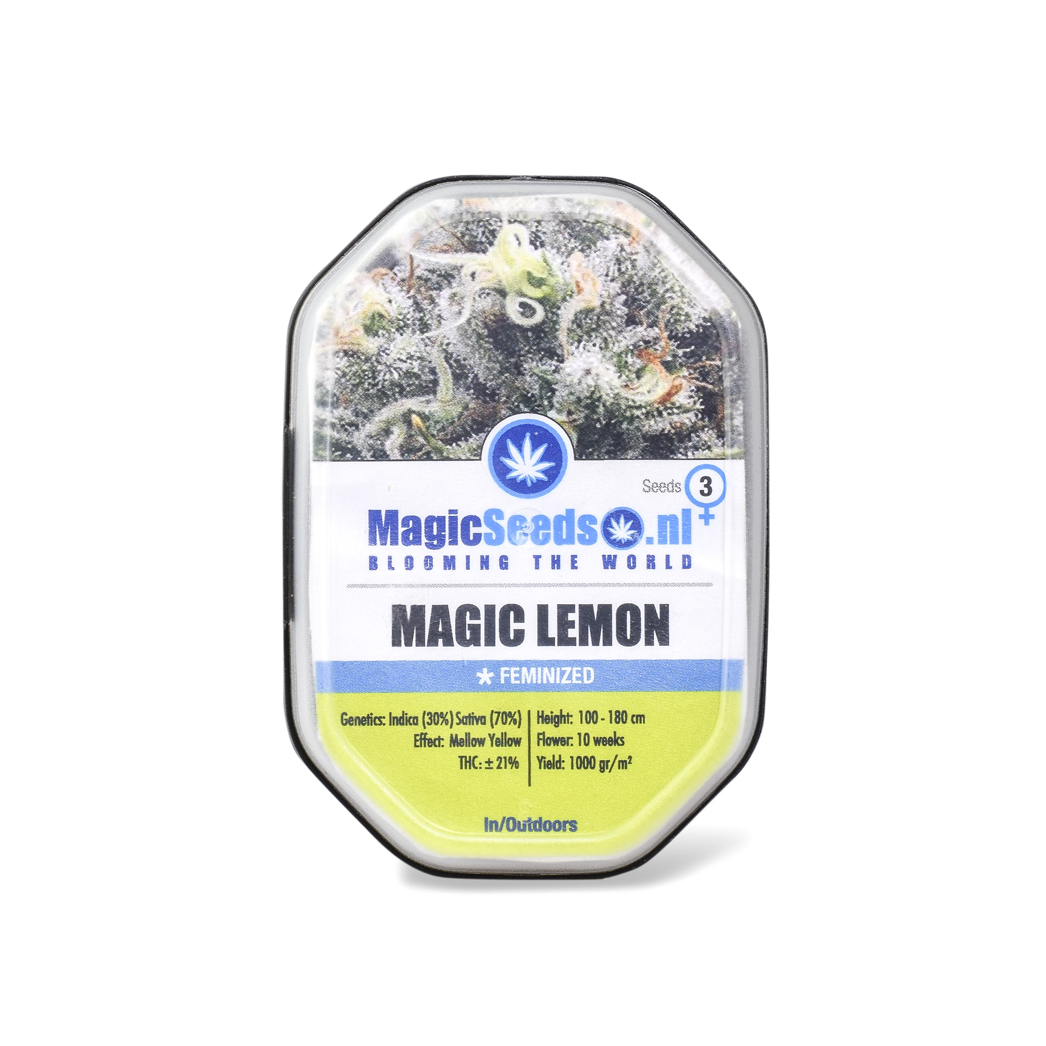 Magic Lemon3