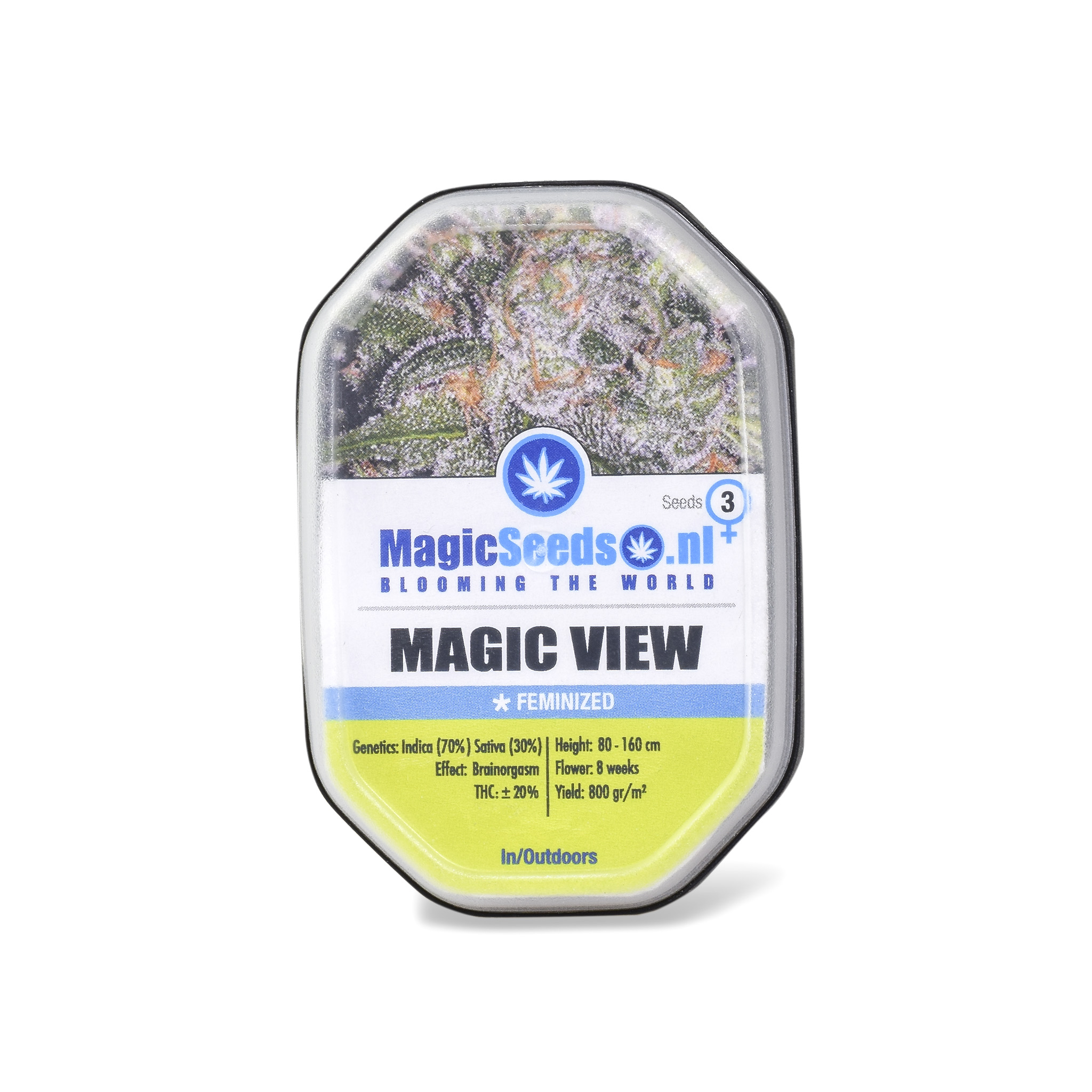 Magic View3