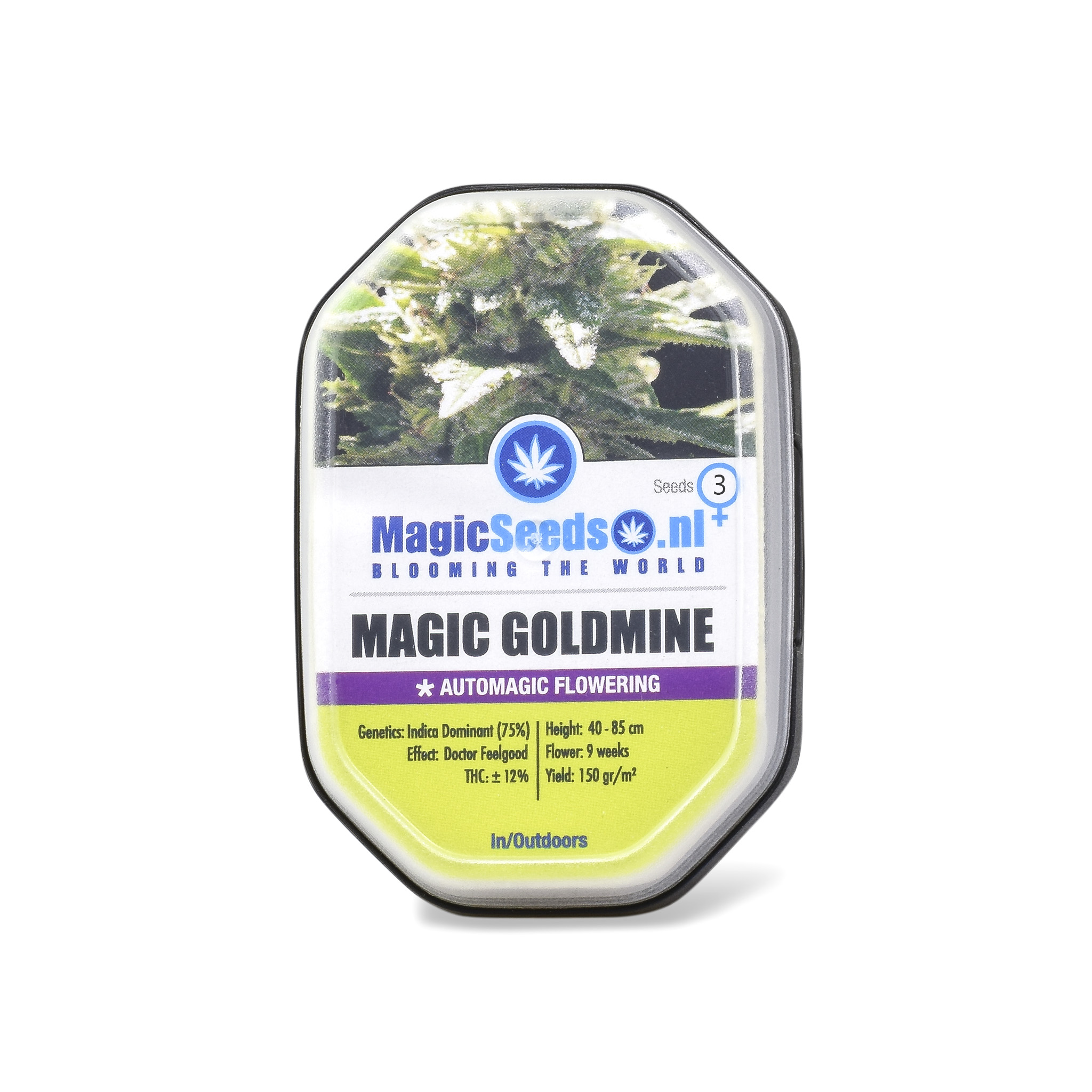 Magic Goldmine3