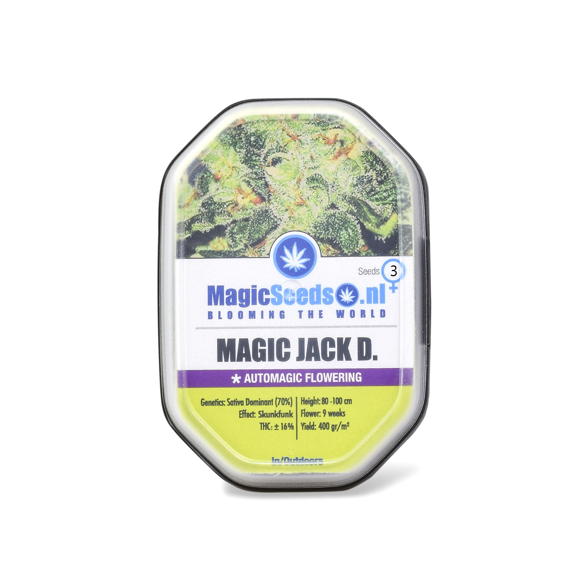 Magic Jack D.3